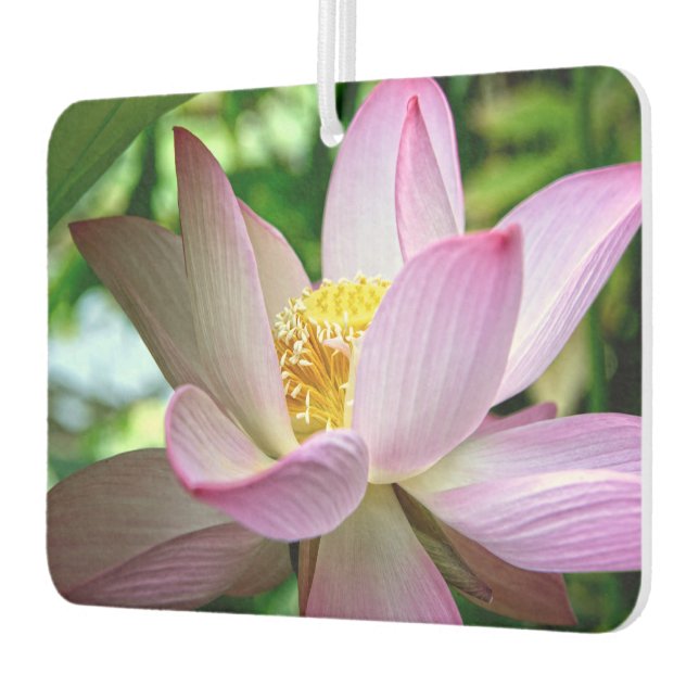Désodorisant Pour Voiture Thème de fleurs de lotus mignonnes (Gauche)