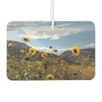 Tournesols de montagne belle photo extérieure