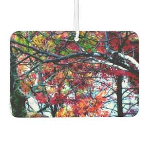 Désodorisant Pour Voiture Toutes les choses lumineuses et bel air Freshner