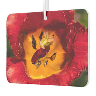 Désodorisant Pour Voiture Tuliforme rouge