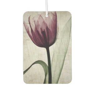 Désodorisant Pour Voiture Tulipe vintage X-Ray