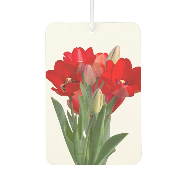 Désodorisant Pour Voiture Tulipes (Devant)