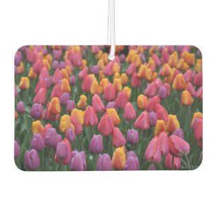 Désodorisant Pour Voiture Tulipes à ressort colorées