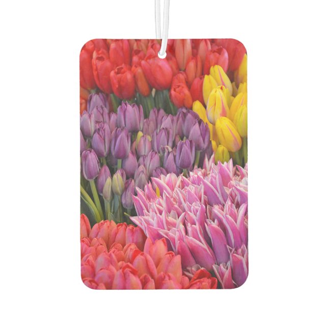 Désodorisant Pour Voiture Tulipes colorées (Dos)