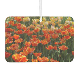 Désodorisant Pour Voiture Tulips Air Freshener