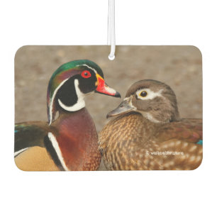 Désodorisant Pour Voiture Un beau moment touchant entre canards branchus