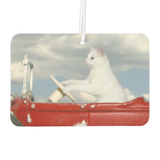 Désodorisant Pour Voiture Un chat blanc conduit une voiture