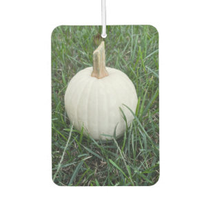 Désodorisant Pour Voiture Un petit Citrouille blanc