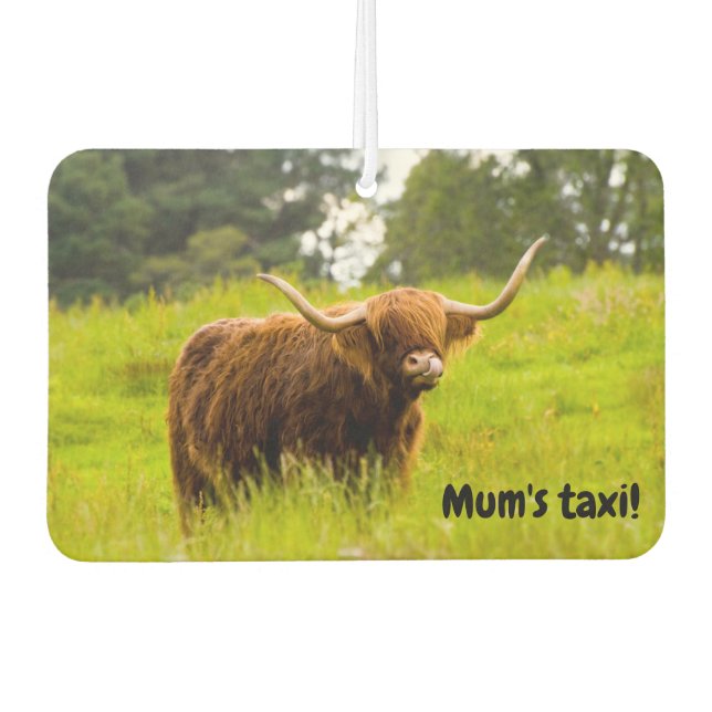 Désodorisant pour voiture vache des Highlands (Devant)