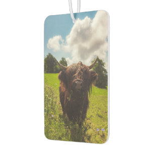 Désodorisant Pour Voiture Vache noire pâturage vert champ soleil