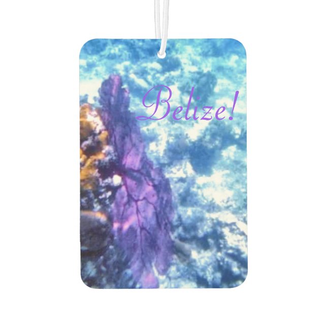 Désodorisant Pour Voiture Ventilateur de mer violet (Dos)