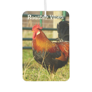 Désodorisant Pour Voiture Vibes de coq / Pigging Out