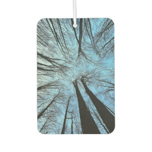 Désodorisant Pour Voiture Whispers of the Whisper Forest