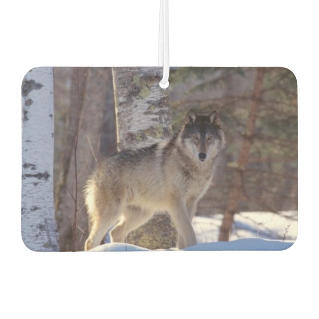 Désodorisant Pour Voiture Wolf Air Freshener (Devant)