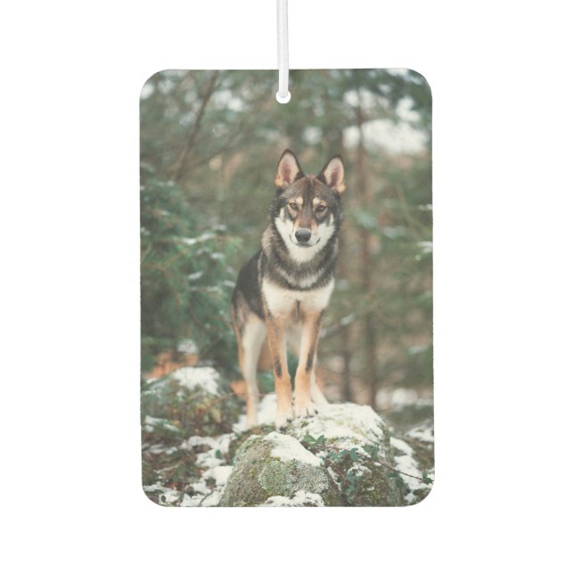 Désodorisant Pour Voiture Wolfdog (Devant)