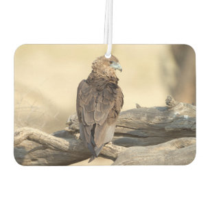Désodorisant Pour Voiture Young Bateleur