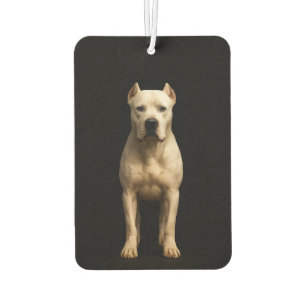 Désodorisants de voiture Black 4 Luxe Bold Dog Arg
