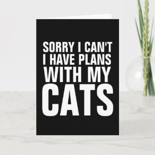 DÉSOLÉ NE PEUT PAS AVOIR DE PLANS AVEC CATS, carte