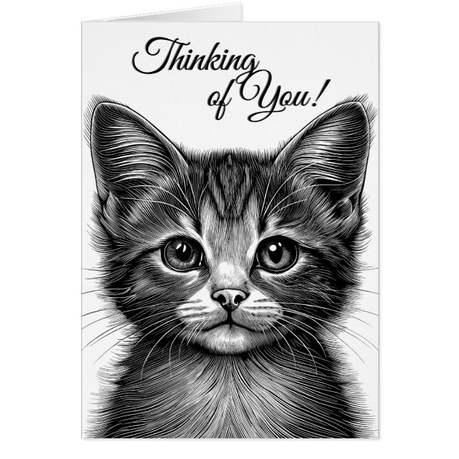 Dessin adorable de Jeune Chat blanc à l'intérieur (Devant)