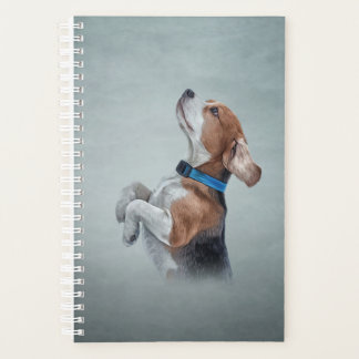 Dessin Beagle de chien