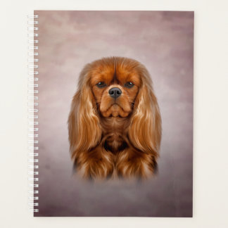 Dessin Chien Cavalier King Charles Spaniel