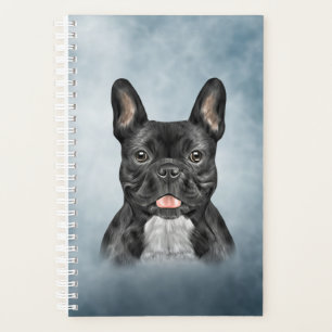 Dessin Chien de taureau français