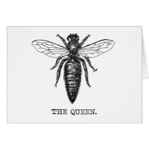 Dessin classique de l'illustration de Queen Bee