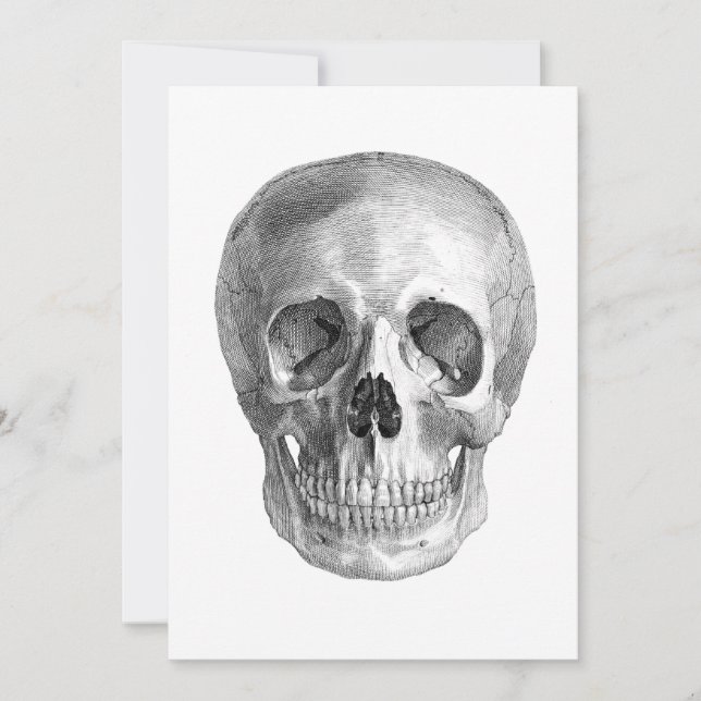 Dessin d'anatomie du crâne humain (Devant)