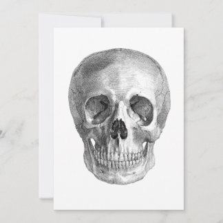 Dessin d'anatomie du crâne humain
