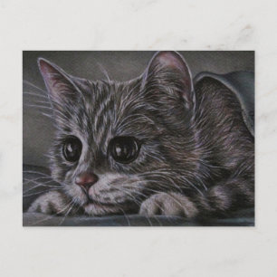 Dessin de chaton sur carte postale