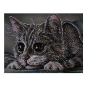 Dessin De Chaton Sur La Carte Postale Zazzle Fr