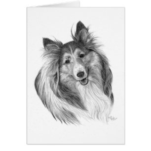Dessin de chien de berger de Shetland par Glenda