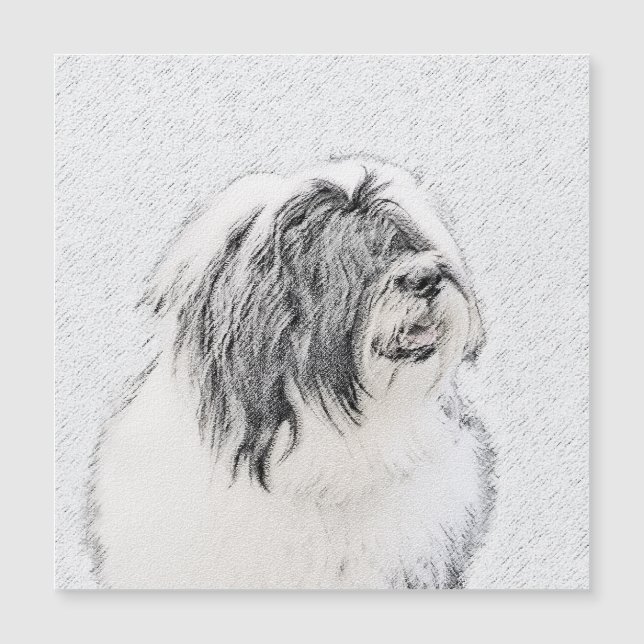 Dessin de collie à oreilles - Joli art original de (Devant)