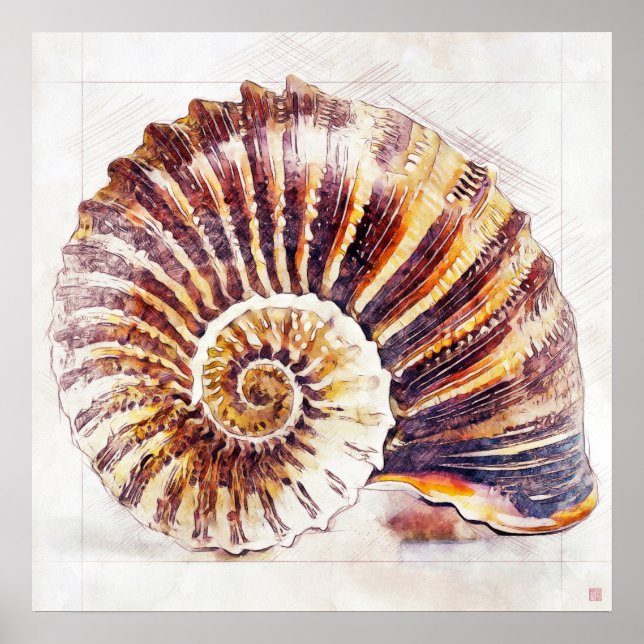 Dessin de coquille Nautilus - Impression d'art (Devant)