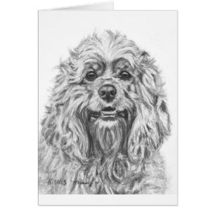 Dessin de fusain de cocker