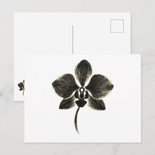 Dessin de ligne orchidée - Carte postale botanique (Devant / Derrière)
