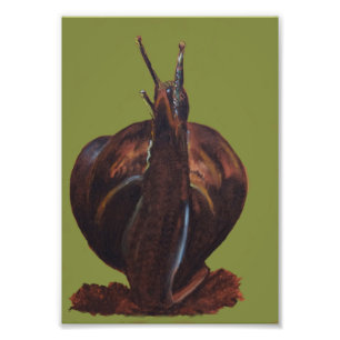 Dessin de serpent Kodak papier photo professionnel