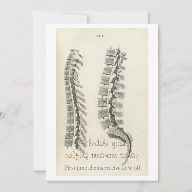 Dessin de vertèbres (Devant)