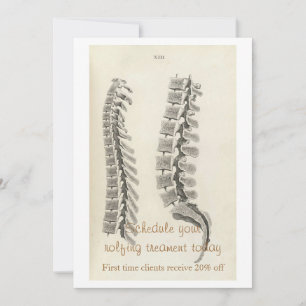 Dessin de vertèbres