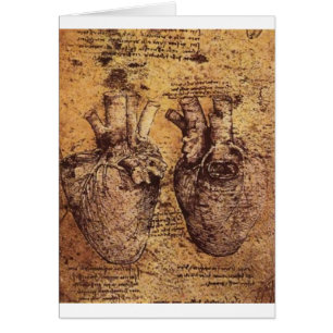 Dessin du coeur et de ses vaisseaux sanguins