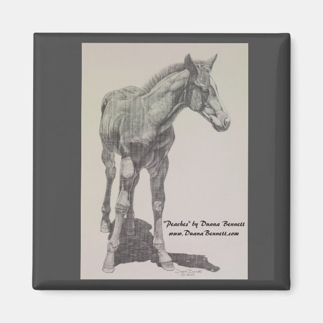 Dessin d'un colt nommé "Peaches" sur un aimant (Devant)