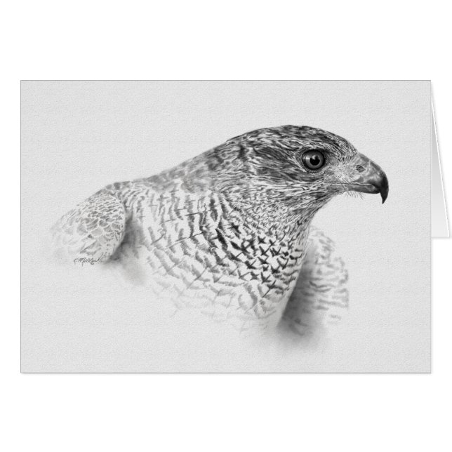 Dessin Goshawk (Devant horizontal)