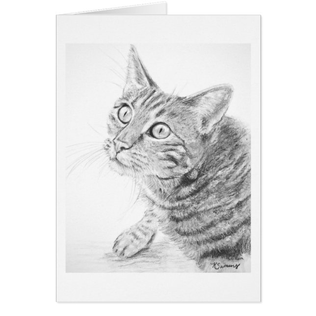 Dessin gris de chat tigré (Devant)