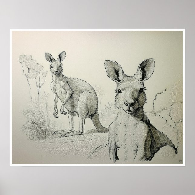 Dessin Kangaroos - Impression d'art (Devant)