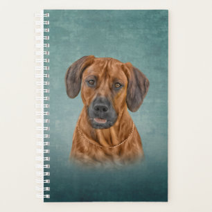 Dessin Rhodesian Ridgeback