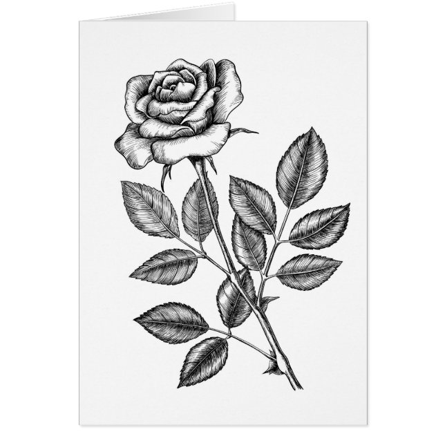 dessin rose 2 (Devant)