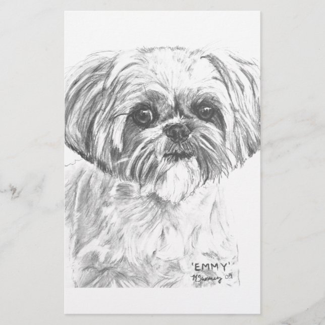 Dessin Shih Tzu (Devant)