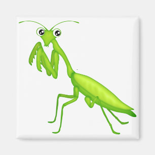 Dessin vert de prière Mantis Magnets