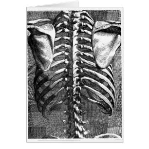 Dessin vintage d'une épine et d'une cage