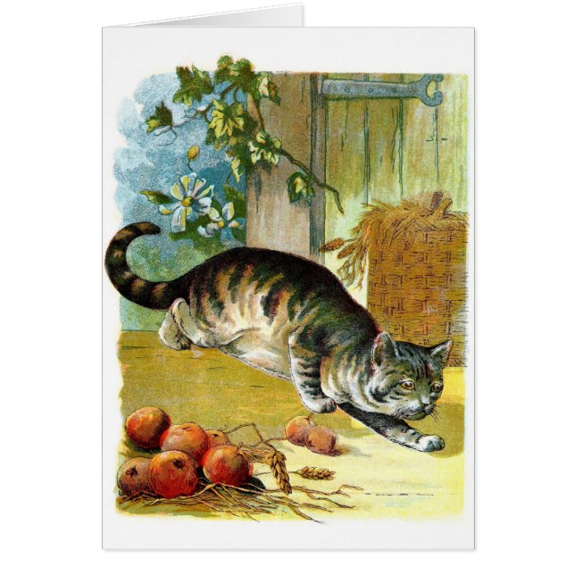 Dessin vintage : Le chat astucieux (Devant)